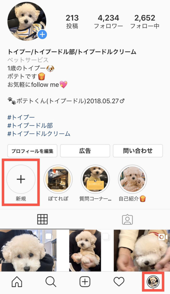 新規作成